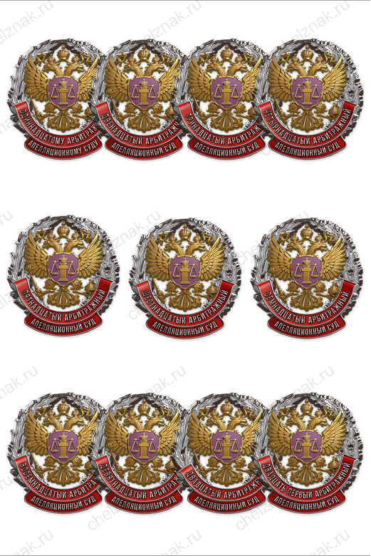 Знак «Арбитражный апелляционный суд», дополнительное фото 1