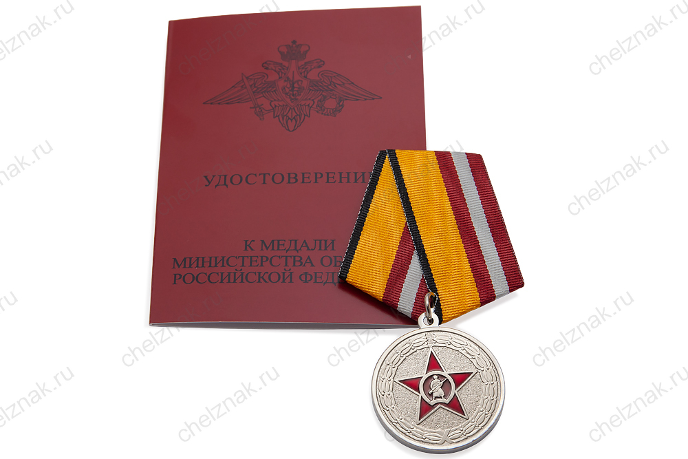 Медаль МО «Участнику специальной военной операции» (серая лента)  с бланком удостоверения, дополнительное фото 1