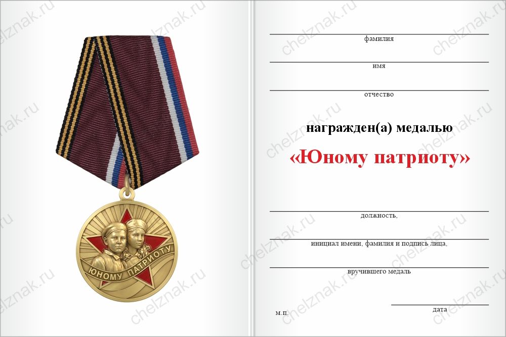 Бланк оборотная сторона Медаль «Юному патриоту» с бланком удостоверения