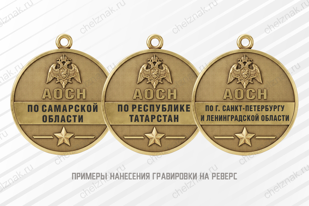 Медаль юбилейная «20 лет АОСН Росгвардии» с бланком удостоверения, дополнительное фото 1