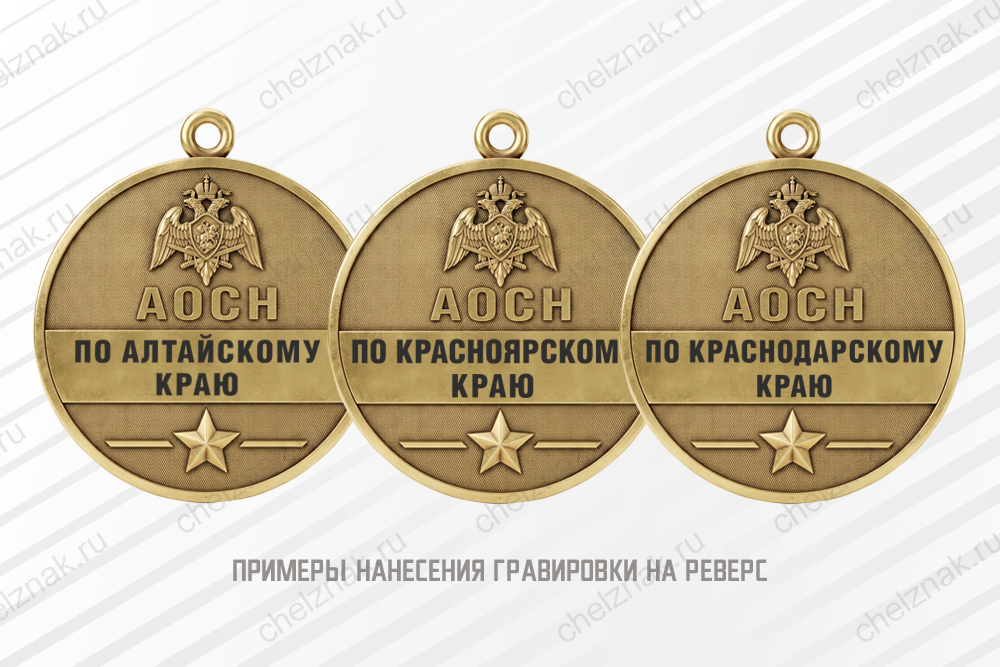 Медаль юбилейная «20 лет АОСН Росгвардии» с бланком удостоверения, дополнительное фото 2