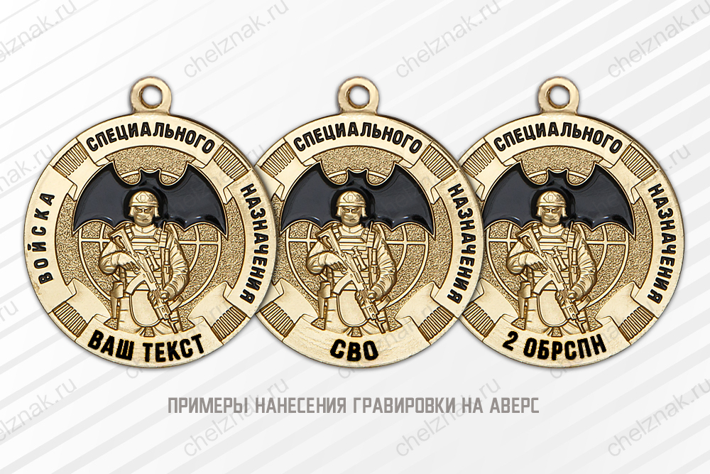 Медаль «За службу в 2-й гвардейской бригаде спецназа (2 обрСпН)» с бланком удостоверения, дополнительное фото 1