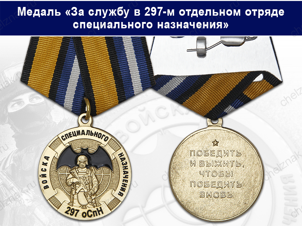 Лицевая сторона награды Медаль «За службу в 297-м отдельном отряде специального назначения (297 оСпН)» с бланком удостоверения