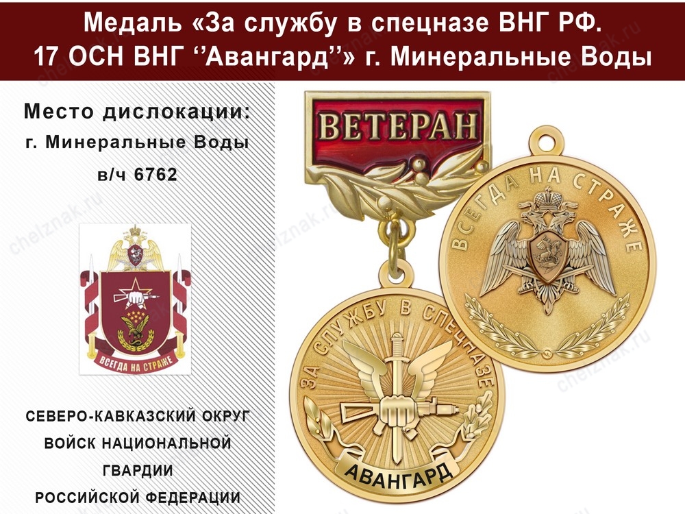 Медаль «За службу в 17 ОСН ВНГ "Авангард"» с бланком удостоверения, дополнительное фото 2
