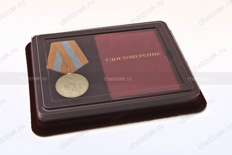 Наградной комплект к медали «За образцовую службу» с бланком удостоверения