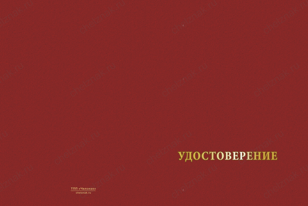 Лицевая сторона награды Типовой бланк удостоверения универсальный