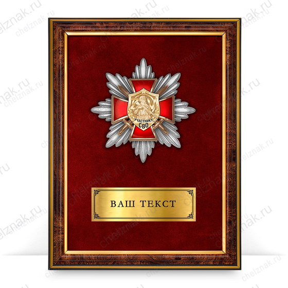 Панно наградное с орденским знаком «Участник СВО»