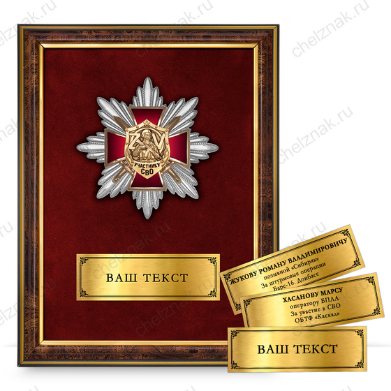 Лицевая сторона награды Панно наградное с орденским знаком «Участник СВО»