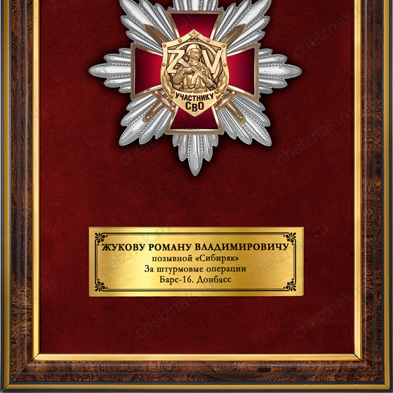 Обратная сторона награды Панно наградное с орденским знаком «Участник СВО»