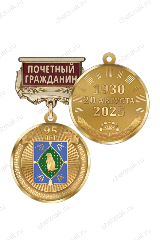 Медаль «95 лет Бижбулякскому району Республики Башкортостан. Почётный гражданин» с бланком удостоверения