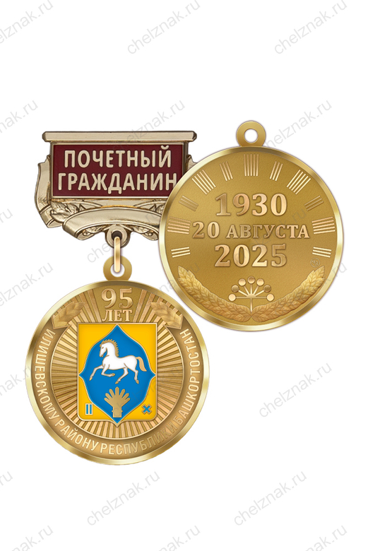 Медаль «95 лет Илишевскому району Республики Башкортостан. Почётный гражданин» с бланком удостоверения