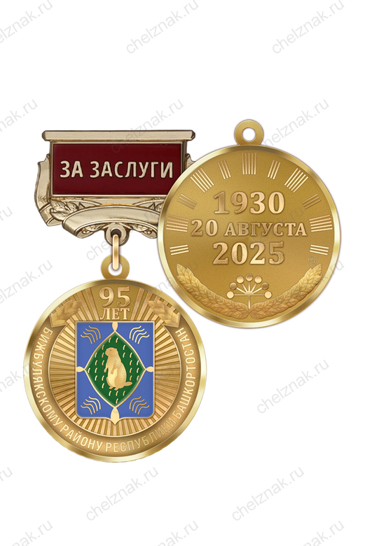 Медаль «95 лет Бижбулякскому району Республики Башкортостан. За заслуги» с бланком удостоверения