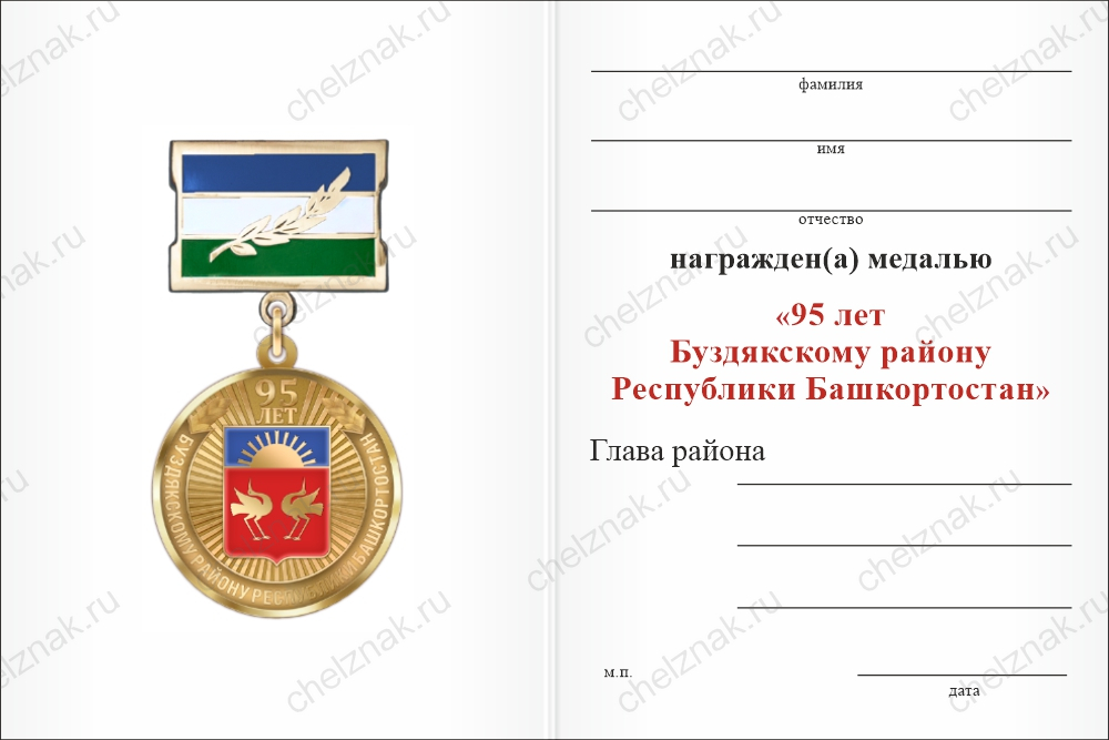 Бланк оборотная сторона Медаль «95 лет Буздякскому району Республики Башкортостан. За заслуги» с бланком удостоверения