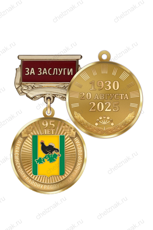 Медаль «95 лет Калтасинскому району Республики Башкортостан. За заслуги» с бланком удостоверения