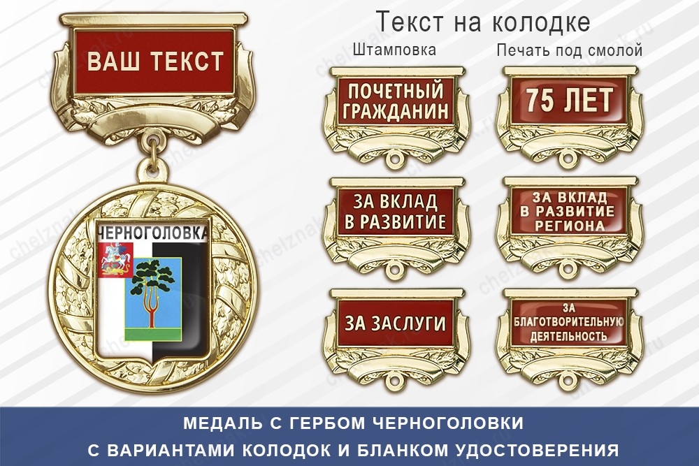 Медаль с гербом города Черноголовки Московской области с бланком удостоверения, дополнительное фото 1