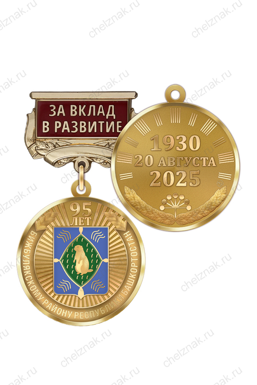 Медаль «95 лет Бижбулякскому району Республики Башкортостан. За вклад в развитие» с бланком удостоверения