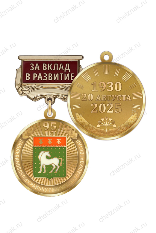 Медаль «95 лет Давлекановскому району Республики Башкортостан. За вклад в развитие» с бланком удостоверения