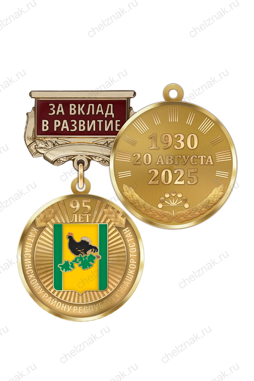 Медаль «95 лет Калтасинскому району Республики Башкортостан. За вклад в развитие» с бланком удостоверения