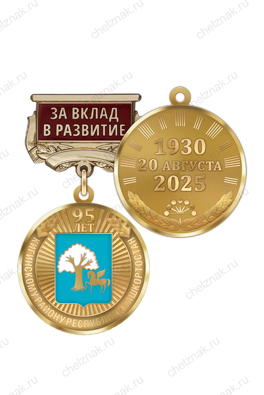 Медаль «95 лет Кигинскому району Республики Башкортостан. За вклад в развитие» с бланком удостоверения