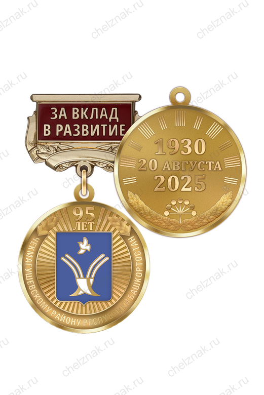 Медаль «95 лет Чекмагушевскому району Республики Башкортостан. За вклад в развитие» с бланком удостоверения