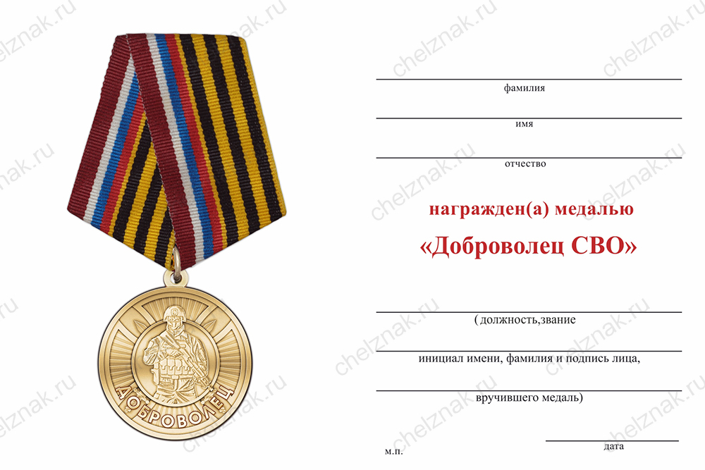 Бланк оборотная сторона Медаль «Доброволец СВО» с бланком удостоверения