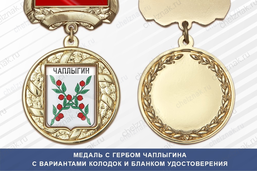 Медаль с гербом города Чаплыгина Липецкой области с бланком удостоверения