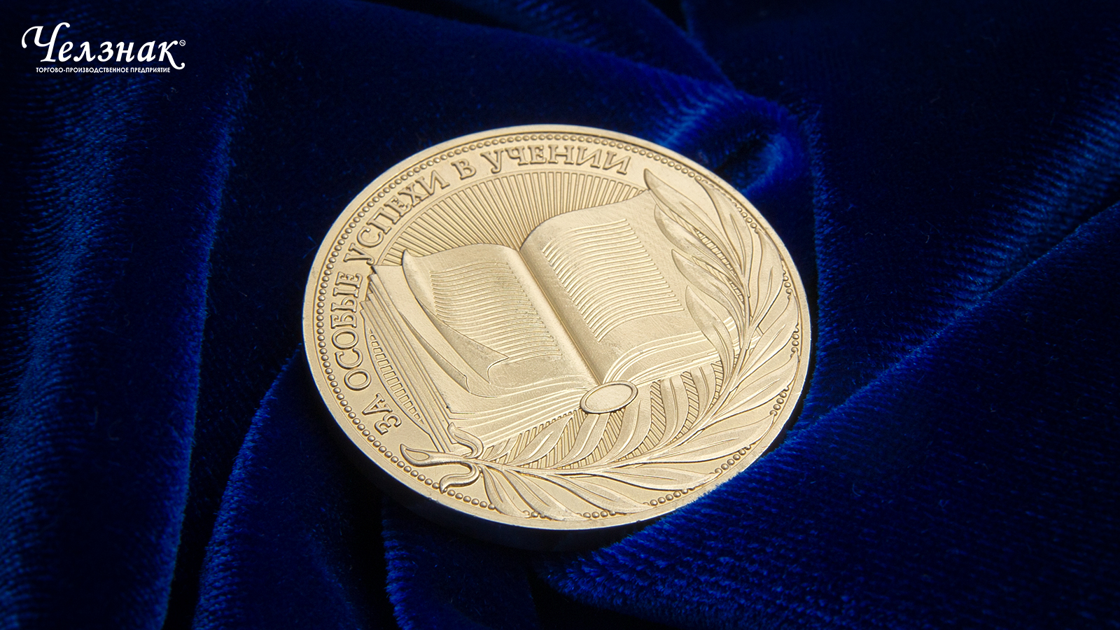 Фото медаль за особые успехи в учении