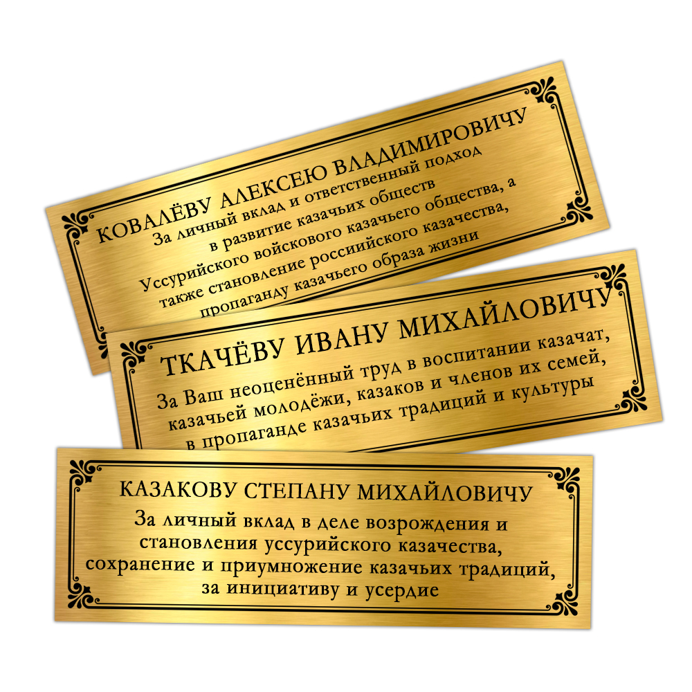 Наградное панно «450 лет Оренбургскому казачьему войску», дополнительное фото 1