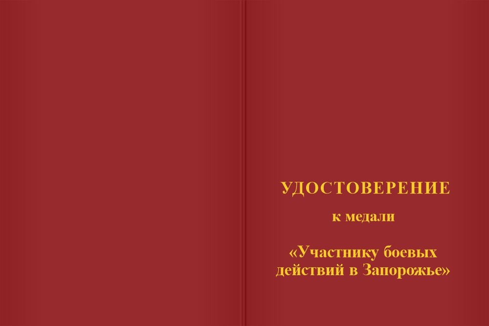 Бланк лицевая сторона Медаль «За участие в СВО. Работино - Вербовое 2023 - 2024» с бланком удостоверения