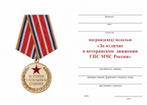 Удостоверение к награде Медаль пожарной охраны «За отличие в ветеранском движении» с бланком удостоверения