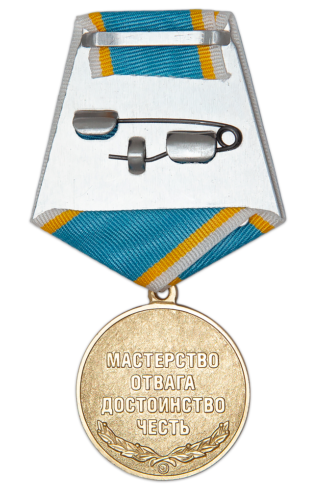 Реверс награды Медаль «115 лет воздушному флоту России» с бланком удостоверения