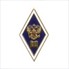 Академический нагрудный знак (ромб) «Об окончании гуманитарного ВУЗа» (2 пуссеты)