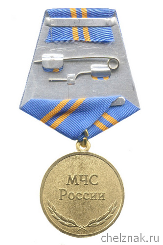 Реверс награды Медаль МЧС России «За отличие в службе» II степень с бланком удостоверения