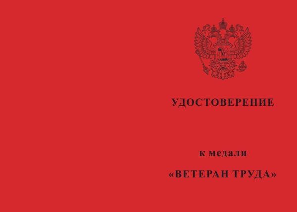 Лицевая сторона награды Общественная медаль «Ветеран труда России» d 34 мм с бланком удостоверения