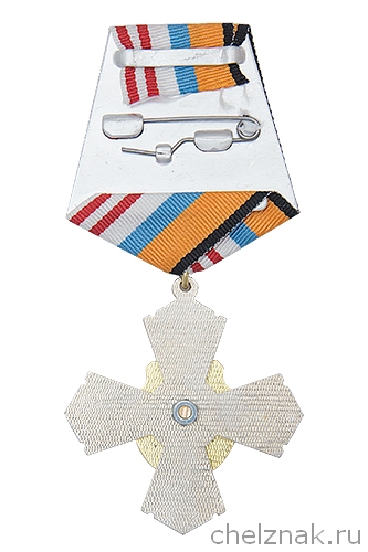 Реверс награды Знак на колодке «285 лет ТОФ России» с бланком удостоверения