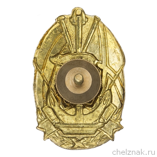 Реверс награды Знак «Северный флот»