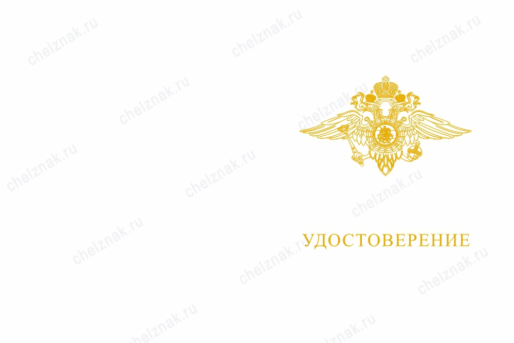 Лицевая сторона награды Знак МВД России «Участник боевых действий» с бланком удостоверения