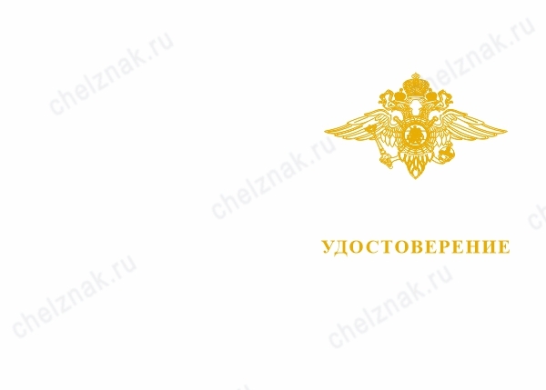 Лицевая сторона награды Знак «За отличие в службе ВВ МВД России» I степени с бланком удостоверения