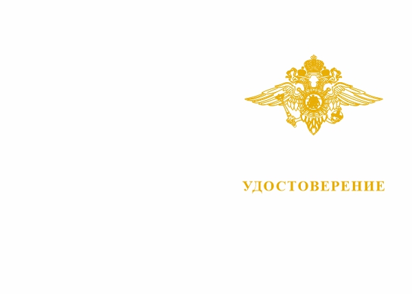 Лицевая сторона награды Знак «За отличие в службе ВВ МВД России» II ст. с бланком удостоверения