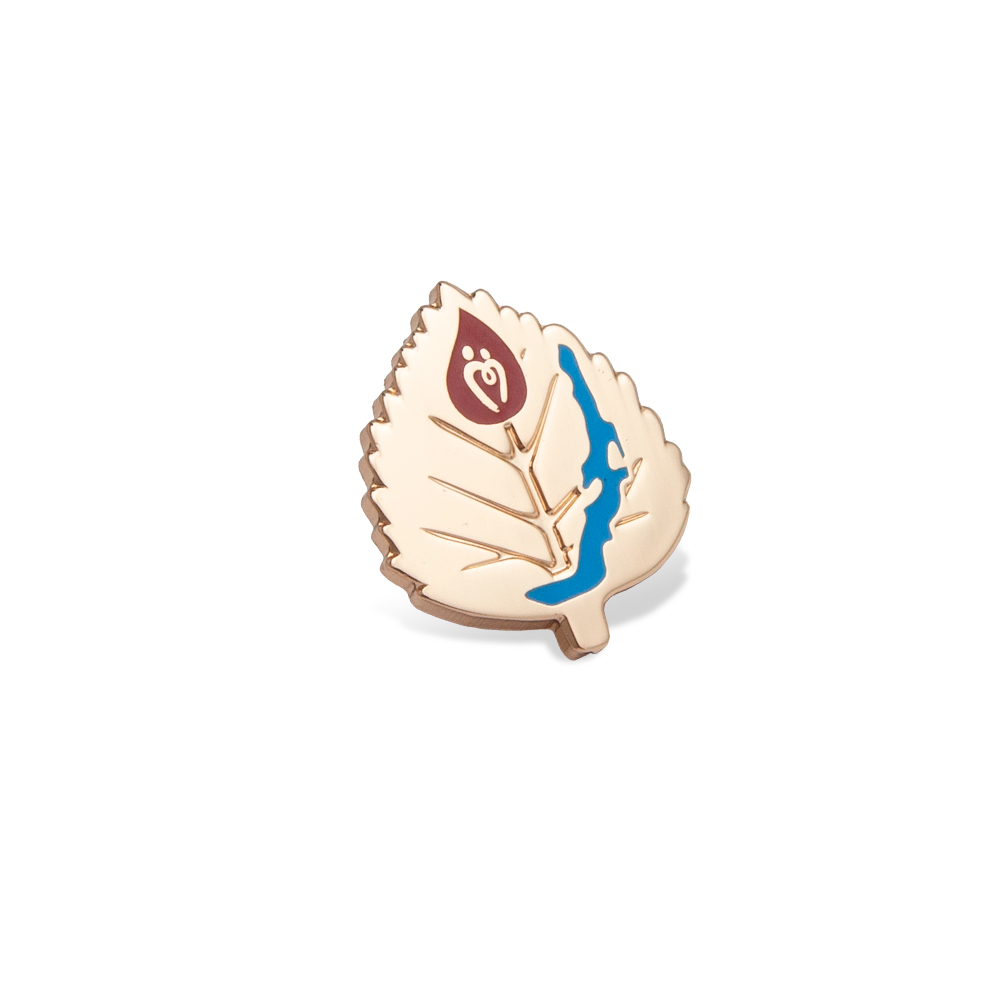 Знак «Служба крови. Иркутская область» (золотистый)