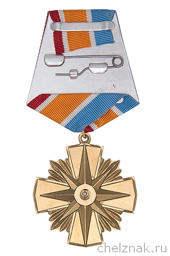 Реверс награды Знак «10 лет ПСС Сальского района» с бланком удостоверения