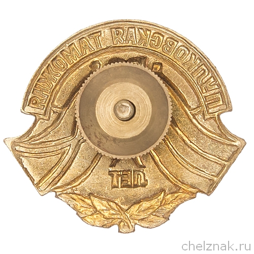 Реверс награды Знак «30 лет Пулковской таможне»