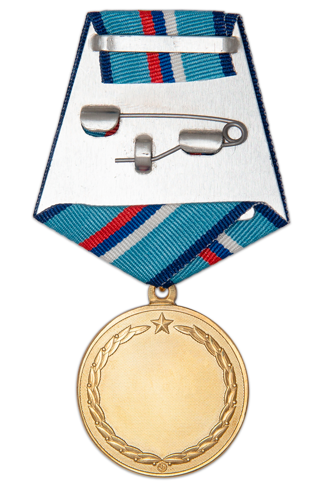 Реверс награды Медаль «За заслуги в военно-патриотическом воспитании» с бланком удостоверения