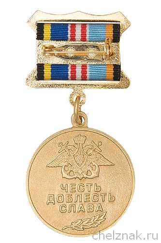 Реверс награды Знак «В память о службе на Краснознаменной Каспийской флотилии» с бланком удостоверения