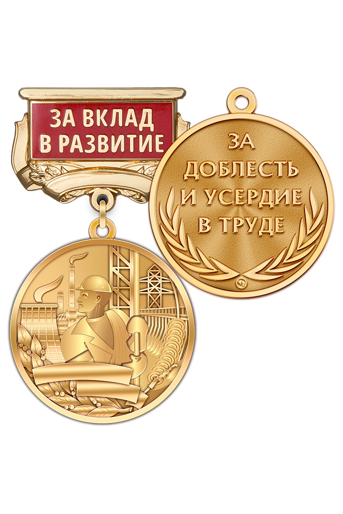 Медаль «За вклад в развитие энергетики» с индивидуальным текстом и бланком удостоверения