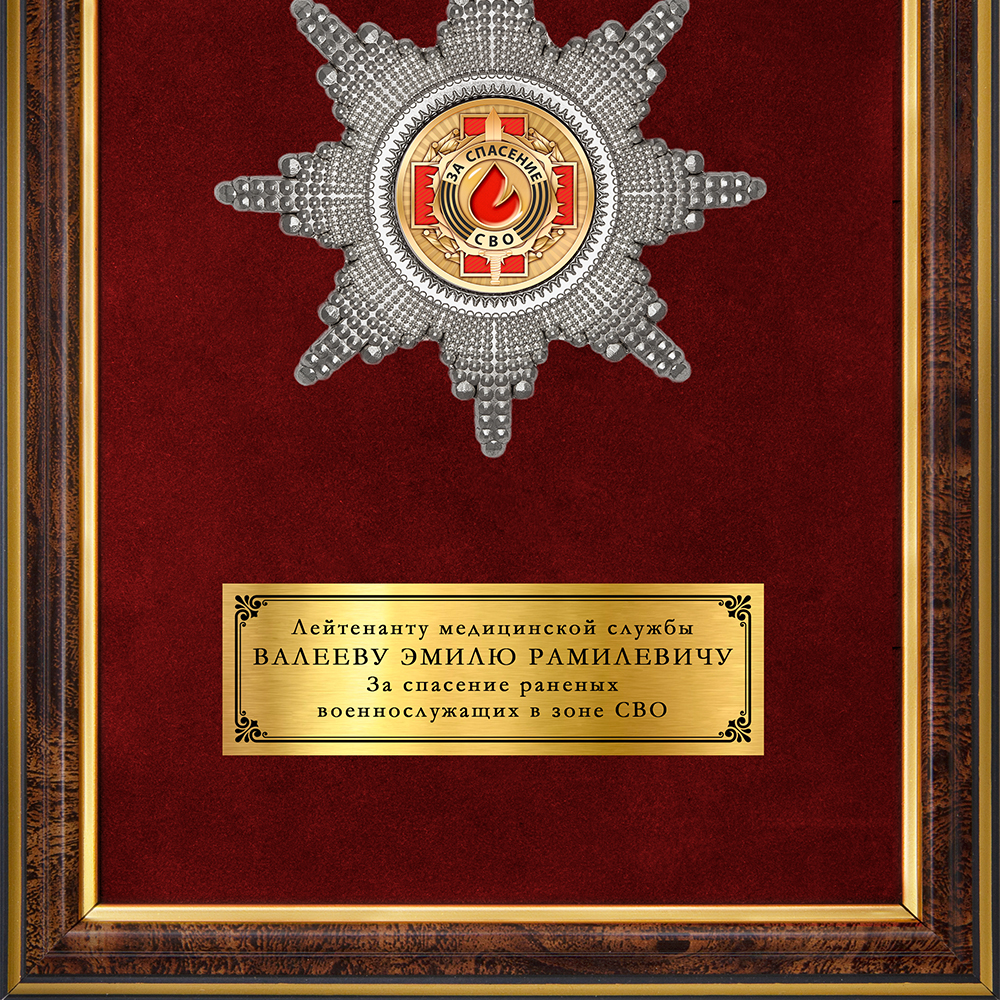 Обратная сторона награды Наградное панно «За спасение на СВО»