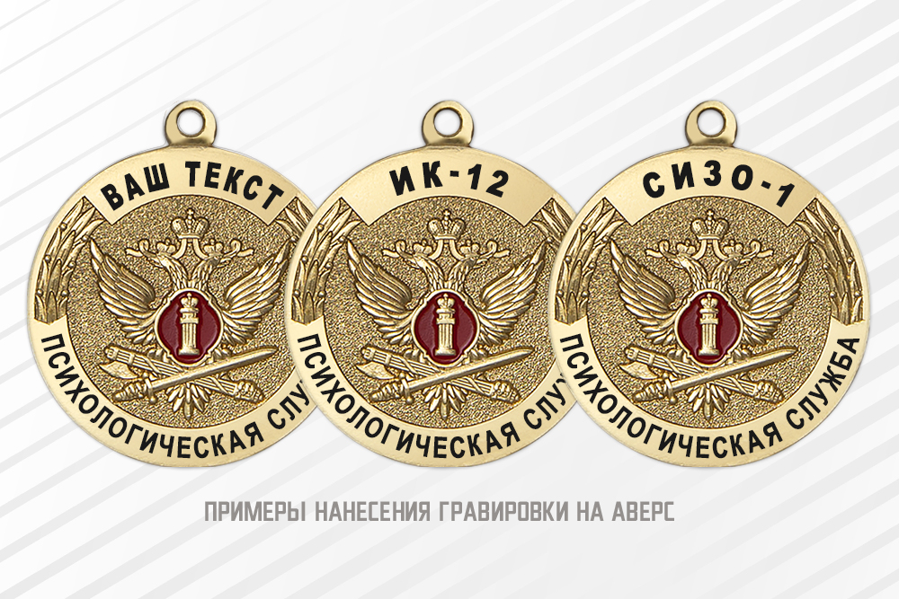 Медаль «Ветеран психологической службы УИС» с бланком удостоверения, дополнительное фото 1