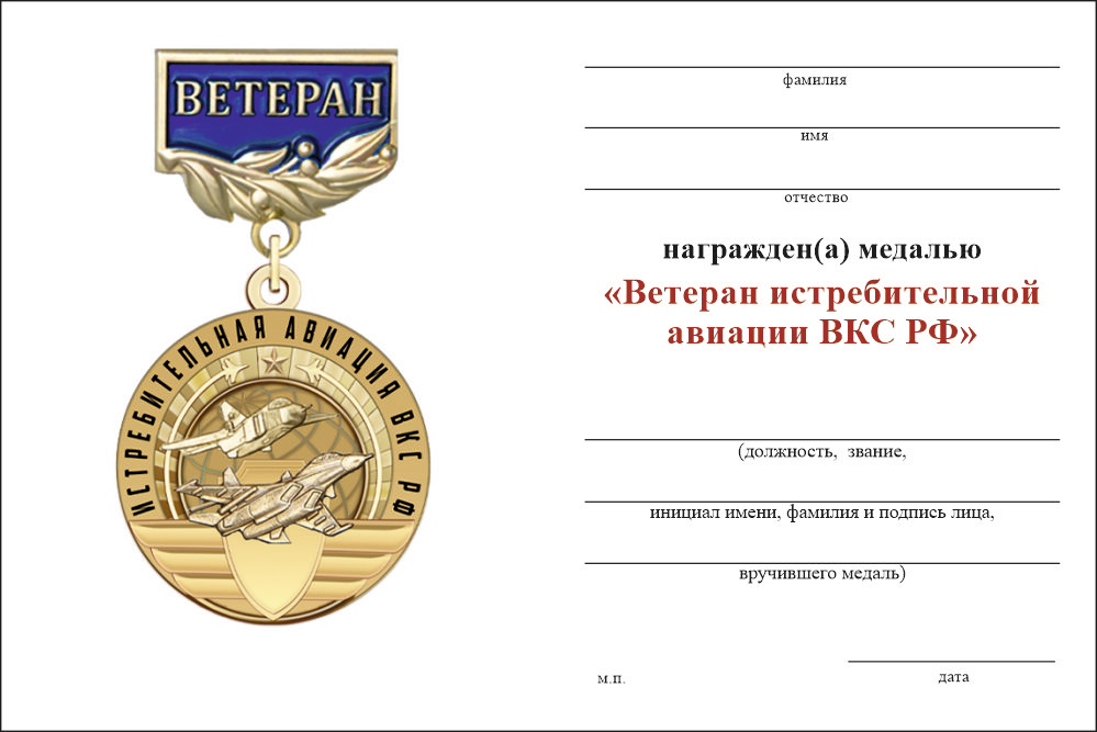 Бланк оборотная сторона Медаль «Ветеран истребительной авиации ВКС РФ» с бланком удостоверения