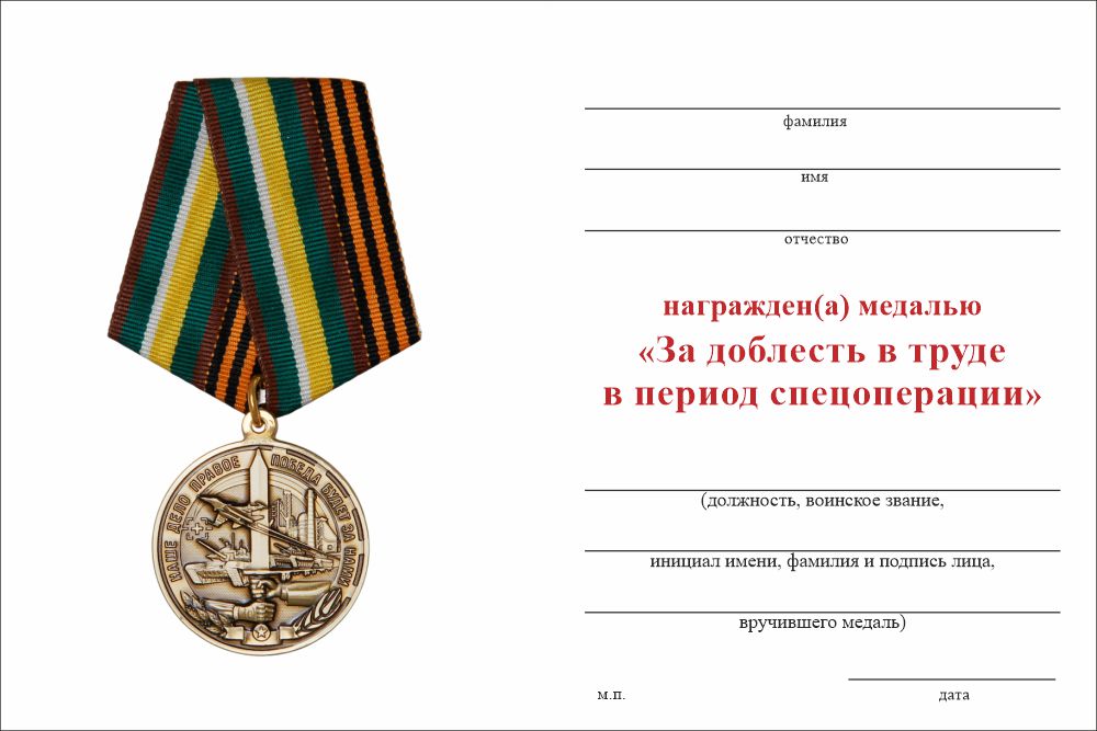 Бланк оборотная сторона Медаль «За доблесть в труде в период СВО» с бланком удостоверения