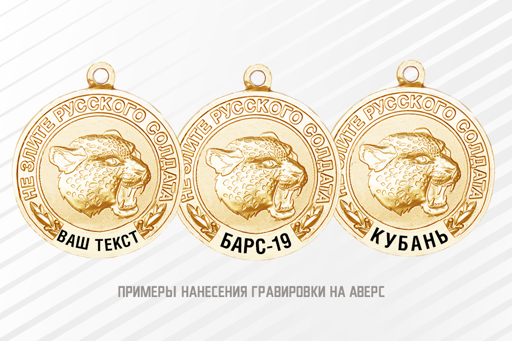 Медаль «Добровольческий отряд "БАРС"» с бланком удостоверения, дополнительное фото 1